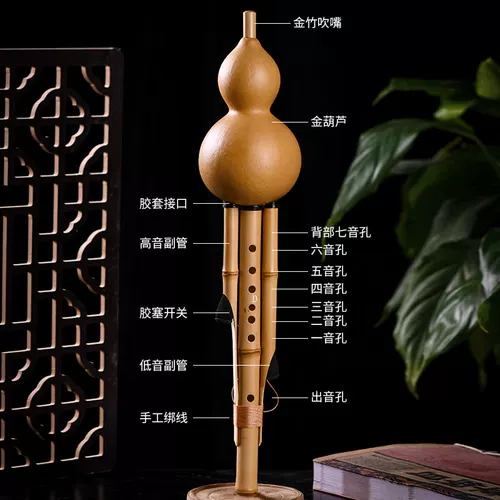 Jinzhu Dai Flavor Professional Performance Performance Type Hulu Sicu Cu Down Bordgent Gf Регулировка взрослой студент Super Seven Dole Diner Hole тыква