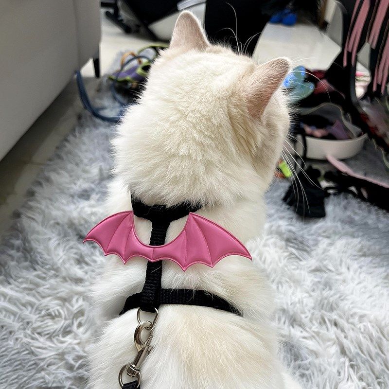 恶魔翅膀猫咪牵引绳外出专用防挣脱猫绳小型犬宠物牵狗遛狗溜猫绳,淘宝优惠券,粉丝福利购,淘宝优惠卷
