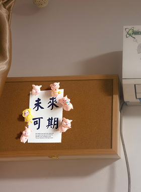 大尺寸入户家用奶油风电表箱装饰画遮盖定制现代简约空调管软木板