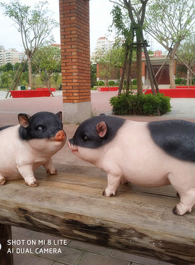 仿真小猪仔摆件装饰品庭院花园林雕塑造景动物大猪模型农家乐包邮