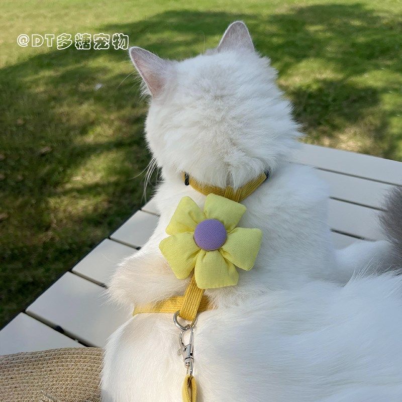 幼猫小奶猫专用牵引绳外出留遛溜猫咪工字防挣脱1斤两个月超小号,淘宝优惠券,粉丝福利购,淘宝优惠卷