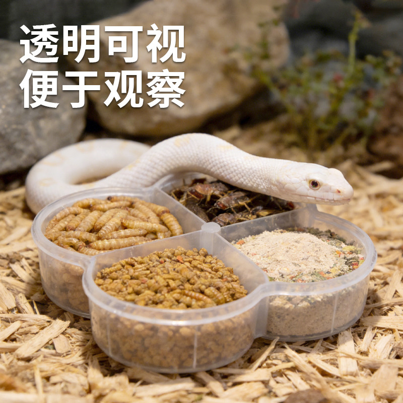 【宠大条】爬宠分格食盒蜥蜴喂水盆守宫喂食盆四合一防撒防溅食碗,淘宝优惠券,粉丝福利购,淘宝优惠卷
