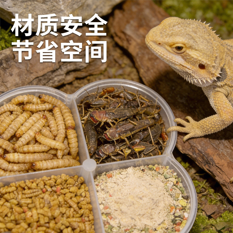 【宠大条】爬宠分格食盒蜥蜴喂水盆守宫喂食盆四合一防撒防溅食碗,淘宝优惠券,粉丝福利购,淘宝优惠卷