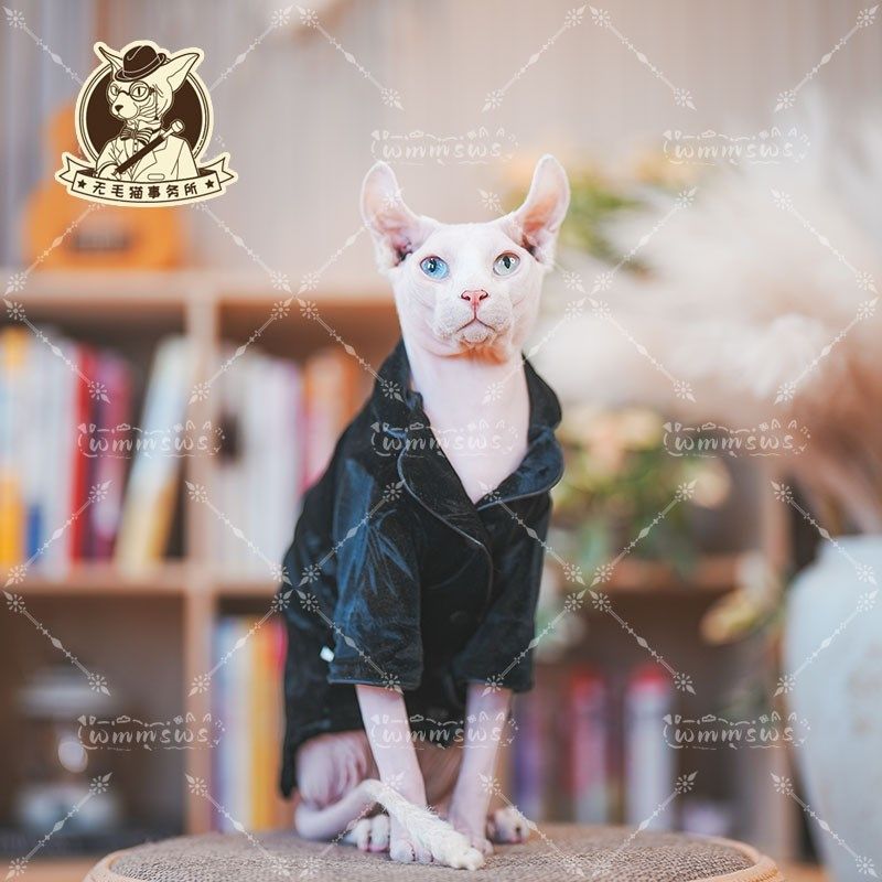 25年春季新款无毛猫德文宠物小猫咪丝绒保暖柔软长袖睡衣开衫外套,淘宝优惠券,粉丝福利购,淘宝优惠卷