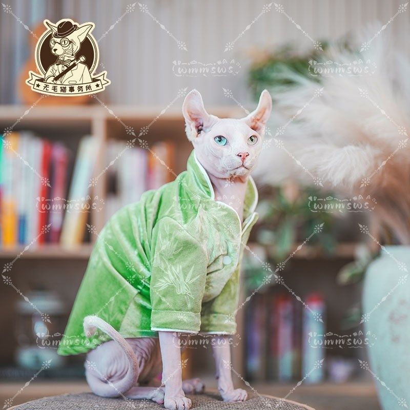 25年春季新款无毛猫德文宠物小猫咪丝绒保暖柔软长袖睡衣开衫外套,淘宝优惠券,粉丝福利购,淘宝优惠卷