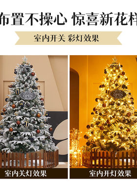 圣诞树套餐1.2/584米豪华