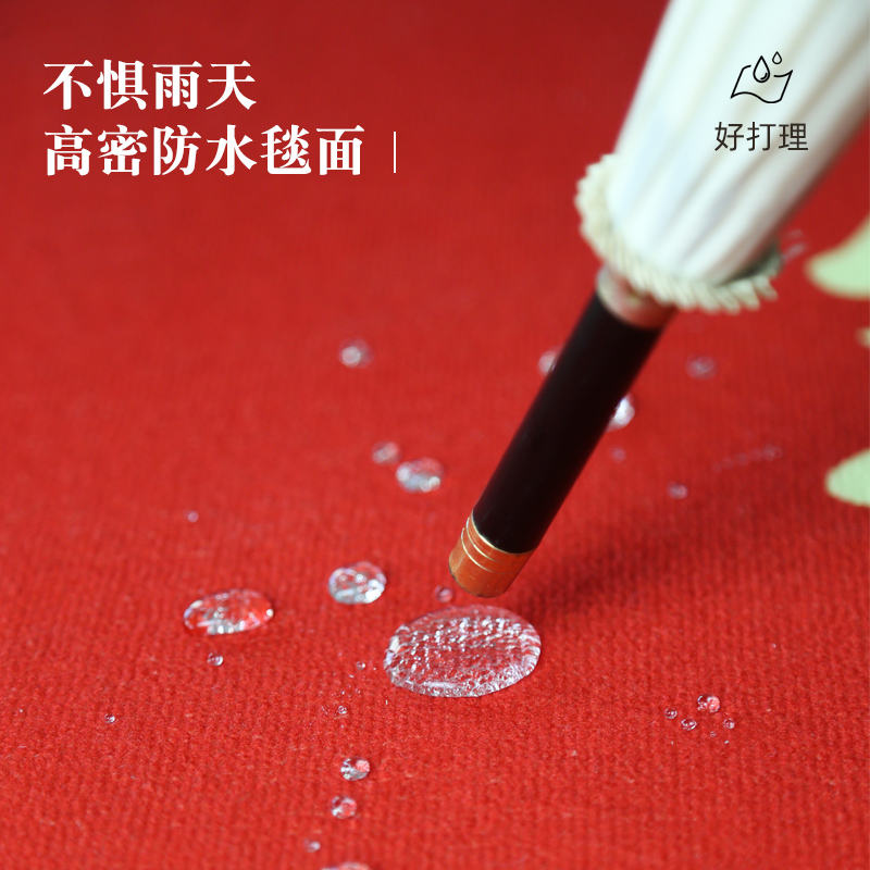 入户门垫进门地垫2024龙年新年红色喜庆门口垫子家用防滑耐脏地毯 - 图2