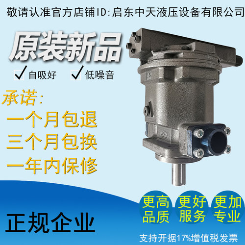 Y10/25/32/40/63/71/80/100/107/125/160/Q250Y-P()轴向柱塞泵 - 图0