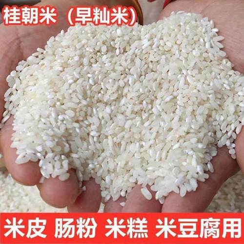 桂朝米凉糕肠河粉汉中米皮专用大米豆腐早贵州贵潮米商用珍桂 - 图1