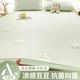 Summer iced doodle mat three-piece set sheet mat air conditioning soft mat washable 2025 new single summer cool mat