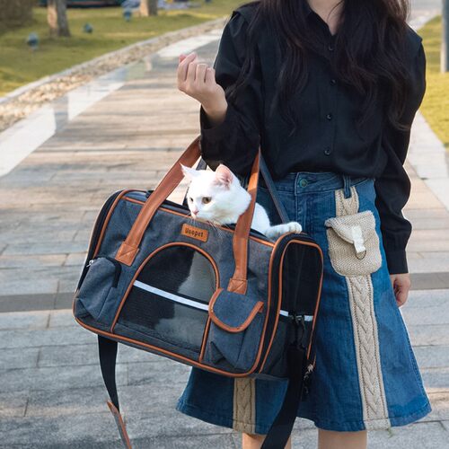 猫包外出便携大容量绝育冬天保暖猫背包手提式斜挎帆布宠物包狗笼 - 图0