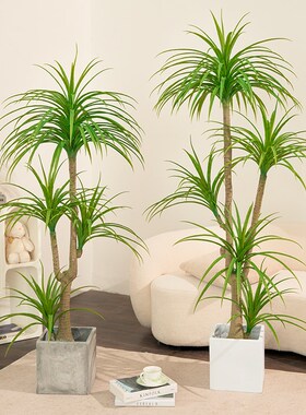 龙血树彷真绿色植物l龙须树龙铁树客厅装饰室内大型假植物盆栽落