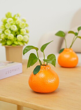 橘子小花瓶摆件客厅插花水培
