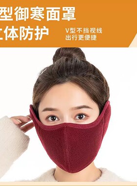 【官方正品】骑车防风面罩全脸
