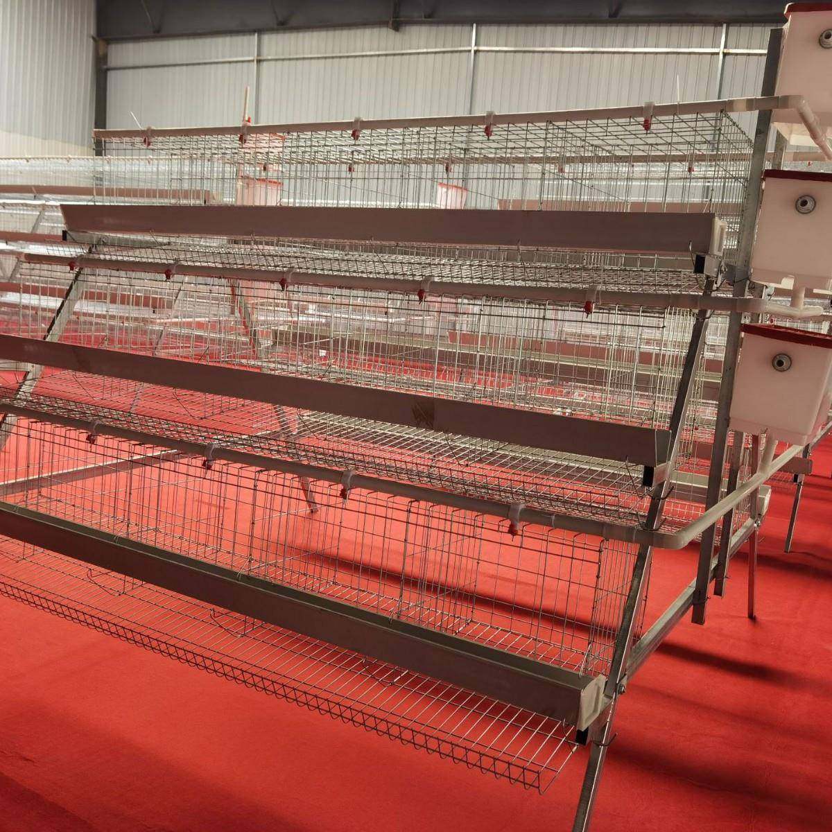 阶梯鸡笼架子鸡舍养鸡镀锌丝养殖设备三四层蛋鸡笼多层式养殖设备,淘宝优惠券,粉丝福利购,淘宝优惠卷
