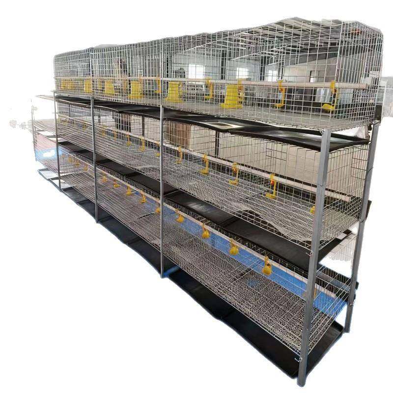 养鸡场镀锌立式肉鸡笼厂家供应三层鸡笼层叠式含托粪盘塑料网水箱,淘宝优惠券,粉丝福利购,淘宝优惠卷