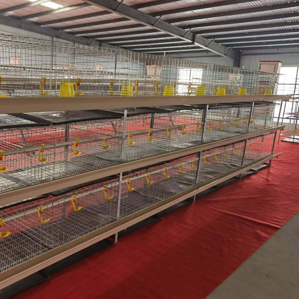 厂家销售三层立式肉鸡笼养殖养鸡设备肉鸡笼防锈肉鸡笼热镀锌鸡笼,淘宝优惠券,粉丝福利购,淘宝优惠卷