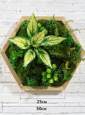 壁挂仿真植物墙面l装饰田园绿植走廊楼梯过道背景墙客厅餐厅植物