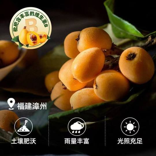 竹盐枇杷干新货无核原味琵琶干休闲开味解腻解馋小零食甘草枇杷干