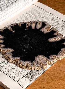 天然木化石原石切片桌面摆件博古架格子树化石装饰设计师样板间