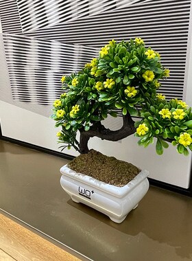 wo+仿真绿植小树盆栽r草球迎客松发财树书桌餐桌隔板架子装饰摆放