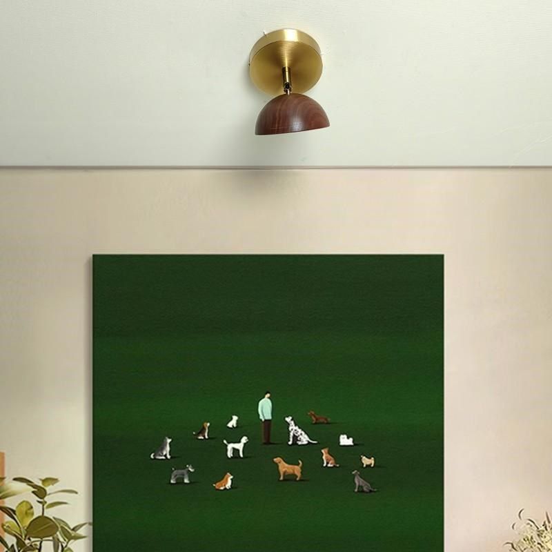 明装射灯氛围实木店铺商用餐厅可调角度落日夕阳吸顶玄关壁画筒灯,淘宝优惠券,粉丝福利购,淘宝优惠卷