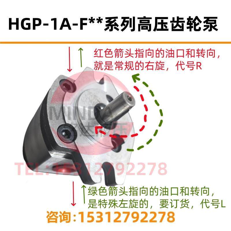 HGP-1A-F6R齿轮泵F1R F2R F3R F4R F5R F8R锯床数控车床液压油泵L-图3