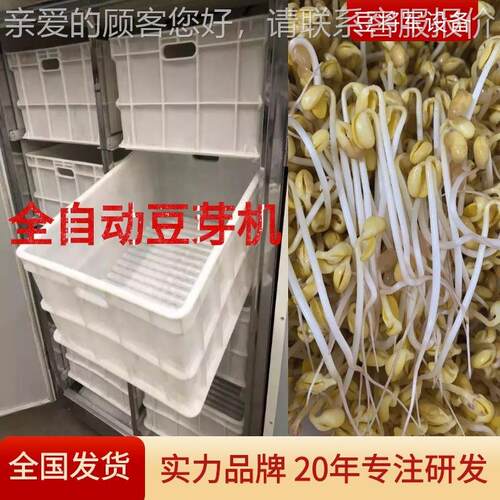 商用豆芽机全自大专新绿豆芽生产豆设备动黄芽机器商超用豆芽5245 - 图0