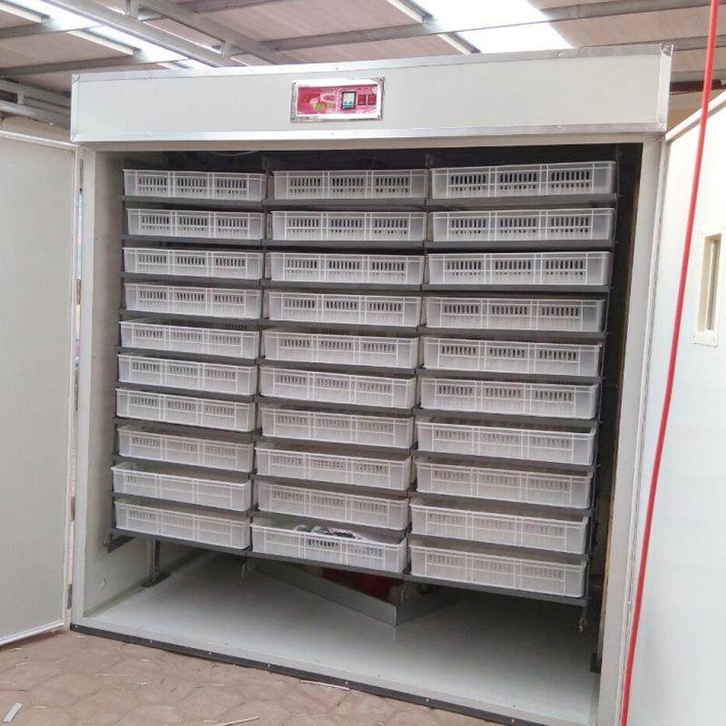 小型家用全自动孵化机养殖场用孵化器鸡鸭鹅鸽子恒温智能孵蛋箱,淘宝优惠券,粉丝福利购,淘宝优惠卷