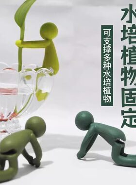 新款水培植物生长伴侣防倒伏扶枝