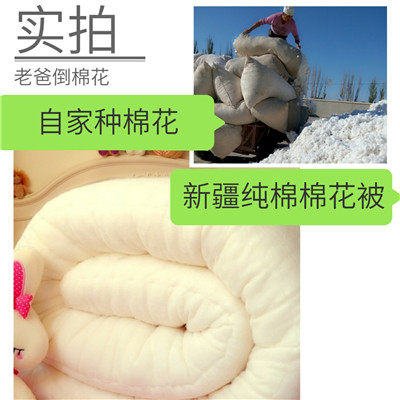 新疆纯棉花被高档被芯棉胎手工冬被褥自家种植棉花春夏秋被可定制,淘宝优惠券,粉丝福利购,淘宝优惠卷