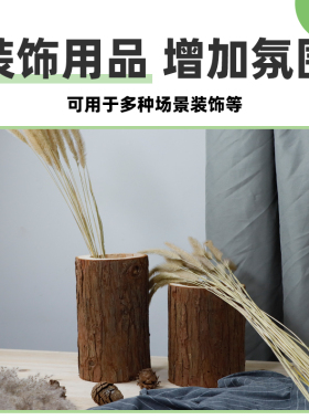 杉木桩木段插花摆件拍摄道具植物花盆木头盆花器枯木桌面造景装饰
