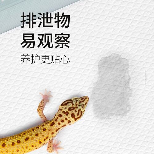 REPTIZOO/瑞皮爬宠专用纸质垫材饲养守宫蜥蜴纸质垫料无尘易观察 - 图3