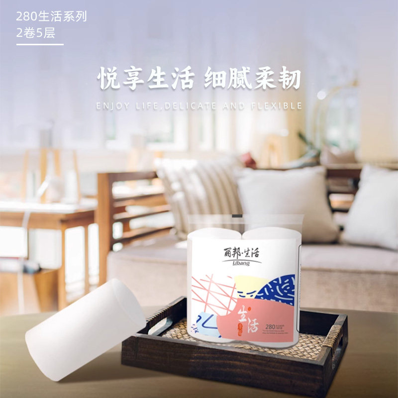 丽邦卷纸2大卷280g家用实惠装纸巾卫生纸厕所无芯卷筒纸厕纸手纸