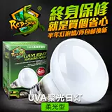 UVA Frosted отопление солнечного света Восхождение на рептилий черепахой ящериц в день изоляции