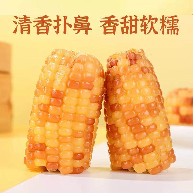 山西忻州特产田园知己非转基因