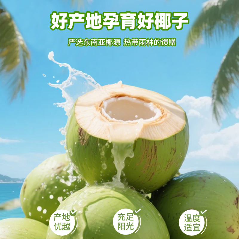 新品尝鲜100%椰子水250ml*8盒整箱喝电解质水无糖饮品果汁椰汁水 - 图3