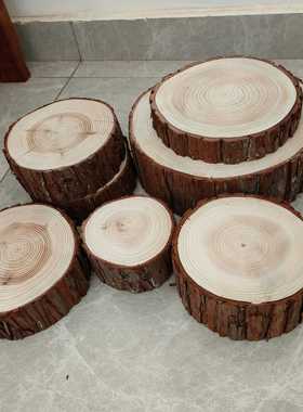 小木桩盲盒底座摆件杉树摄影道具园艺壁炉装饰实木木桩树桩树干