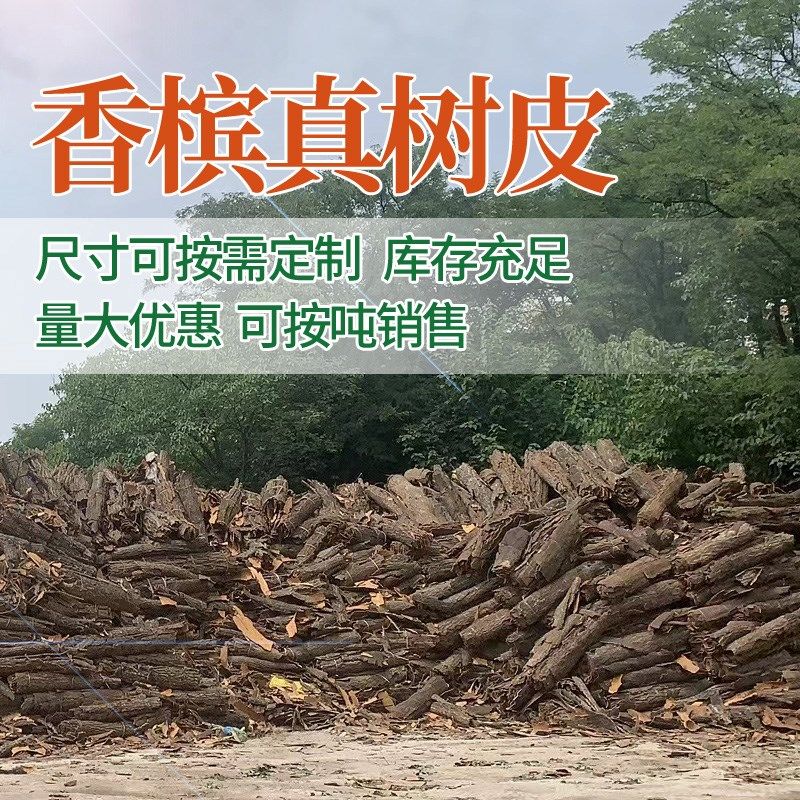 真树皮软木树皮香槟树皮爬宠鱼缸造景绿植装饰水族装饰贴墙背景板,淘宝优惠券,粉丝福利购,淘宝优惠卷