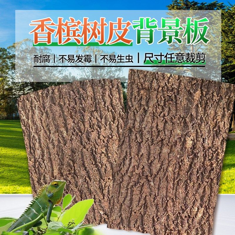 真树皮软木树皮香槟树皮爬宠鱼缸造景绿植装饰水族装饰贴墙背景板,淘宝优惠券,粉丝福利购,淘宝优惠卷