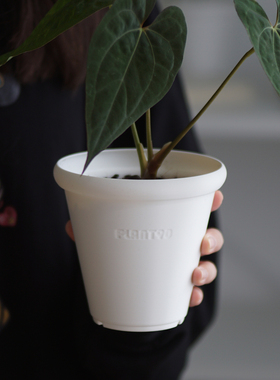 植角九十度|宽口花盆加厚塑料蝴蝶兰秋海棠克莱恩花烛热植斗笠盆