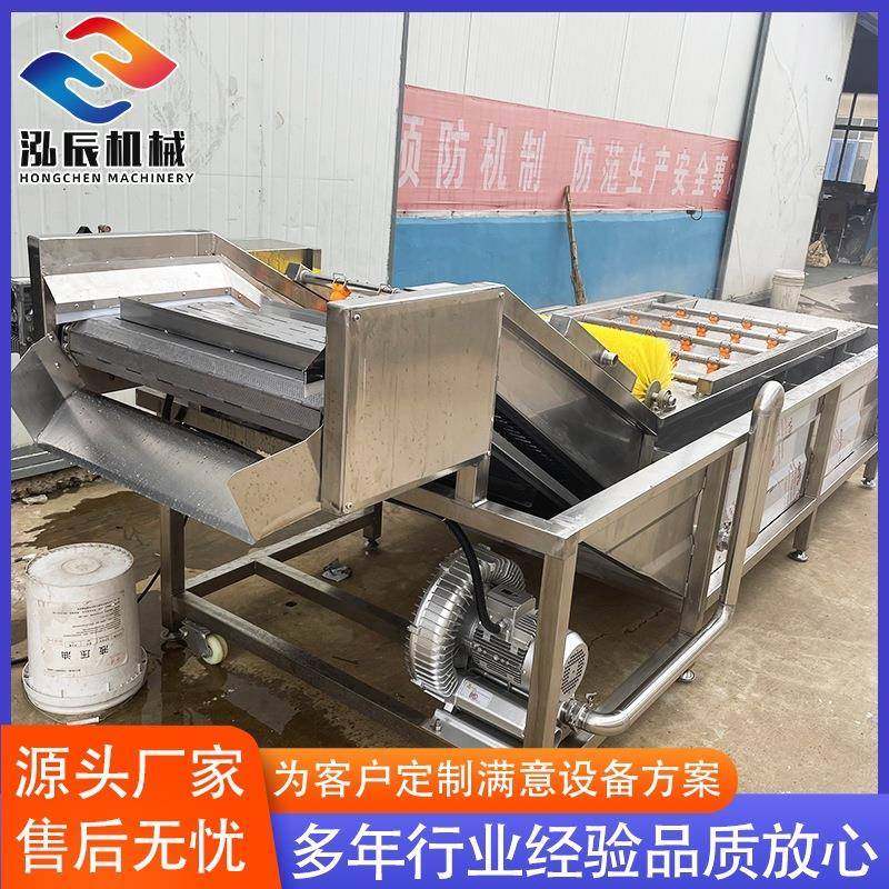 海蛎子牡蛎气泡清洗机 多功能果蔬清洗机 气泡清洗机蔬菜杀青线,淘宝优惠券,粉丝福利购,淘宝优惠卷