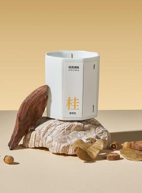 高级感小众树桩桌面摆件