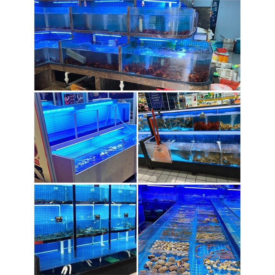 海鲜池专用灯鱼缸鱼池水产蓝色照明直插式免安装led防水长条灯管,淘宝优惠券,粉丝福利购,淘宝优惠卷
