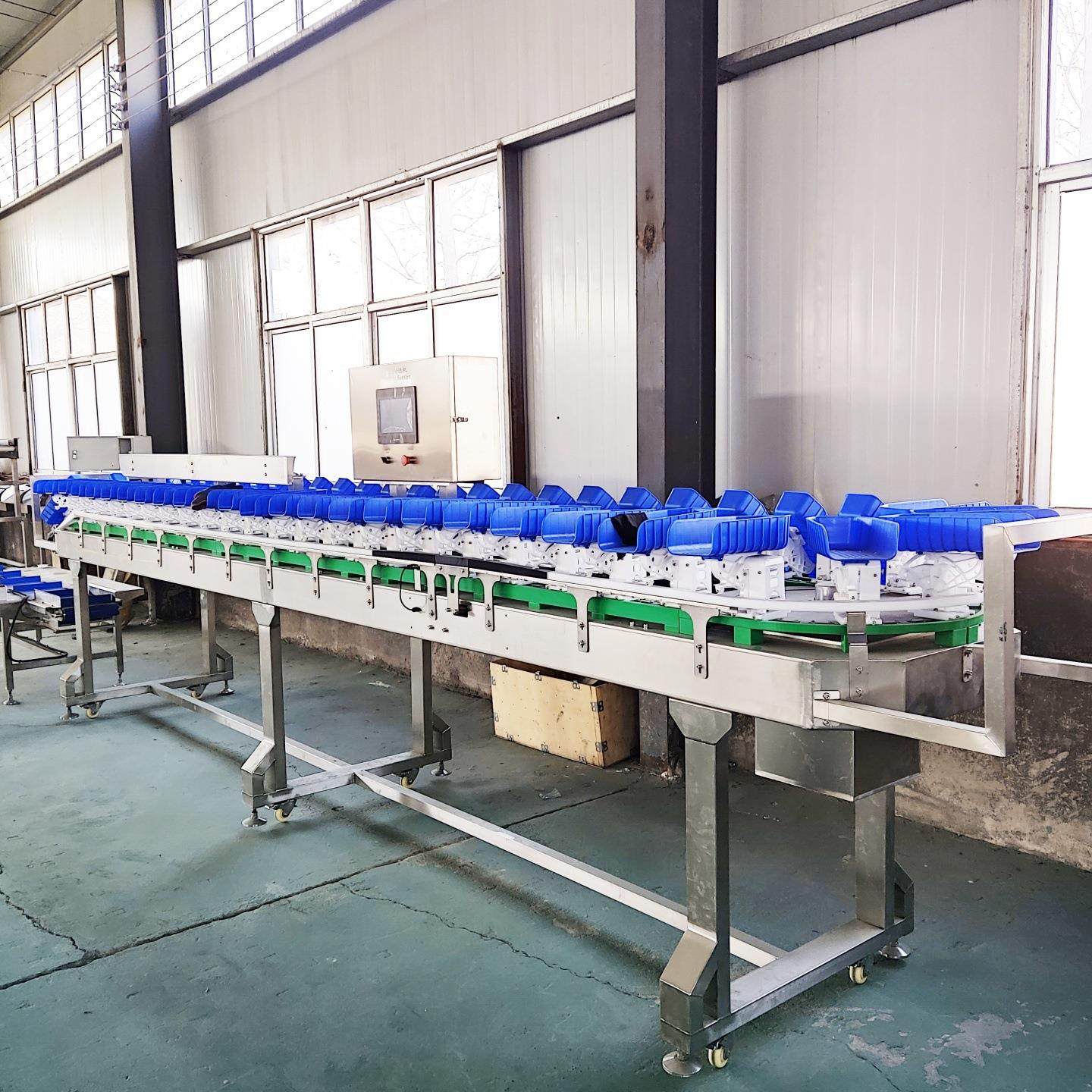 小龙虾自动分选机海参生蚝鲍鱼重量分拣设备海鲜大闸蟹称重分选机,淘宝优惠券,粉丝福利购,淘宝优惠卷