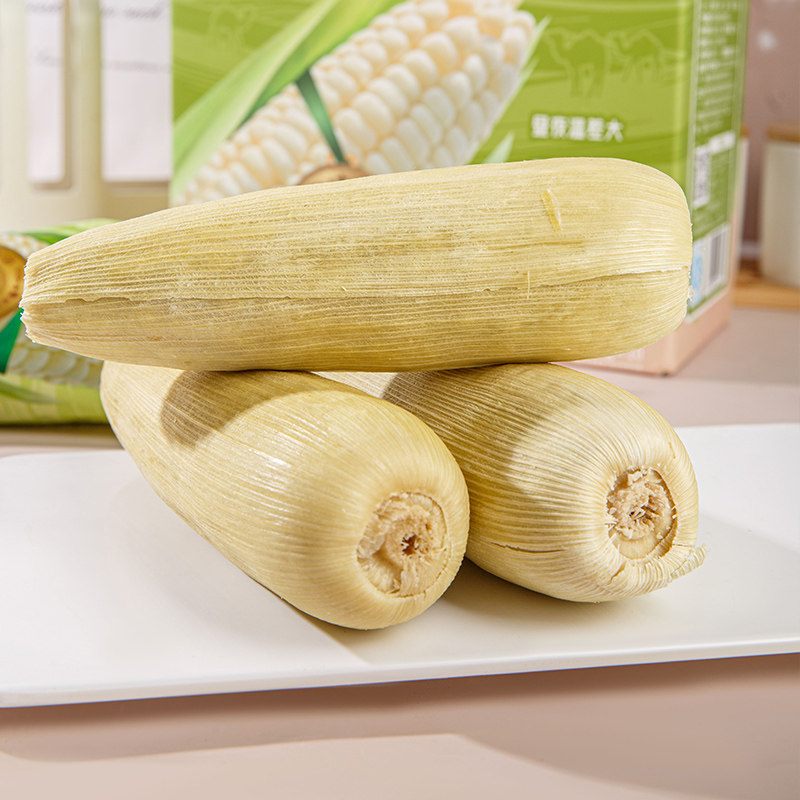 【精品礼盒】沙域香头茬甜糯玉米棒健身代餐玉米沙漠玉米冷鲜玉米