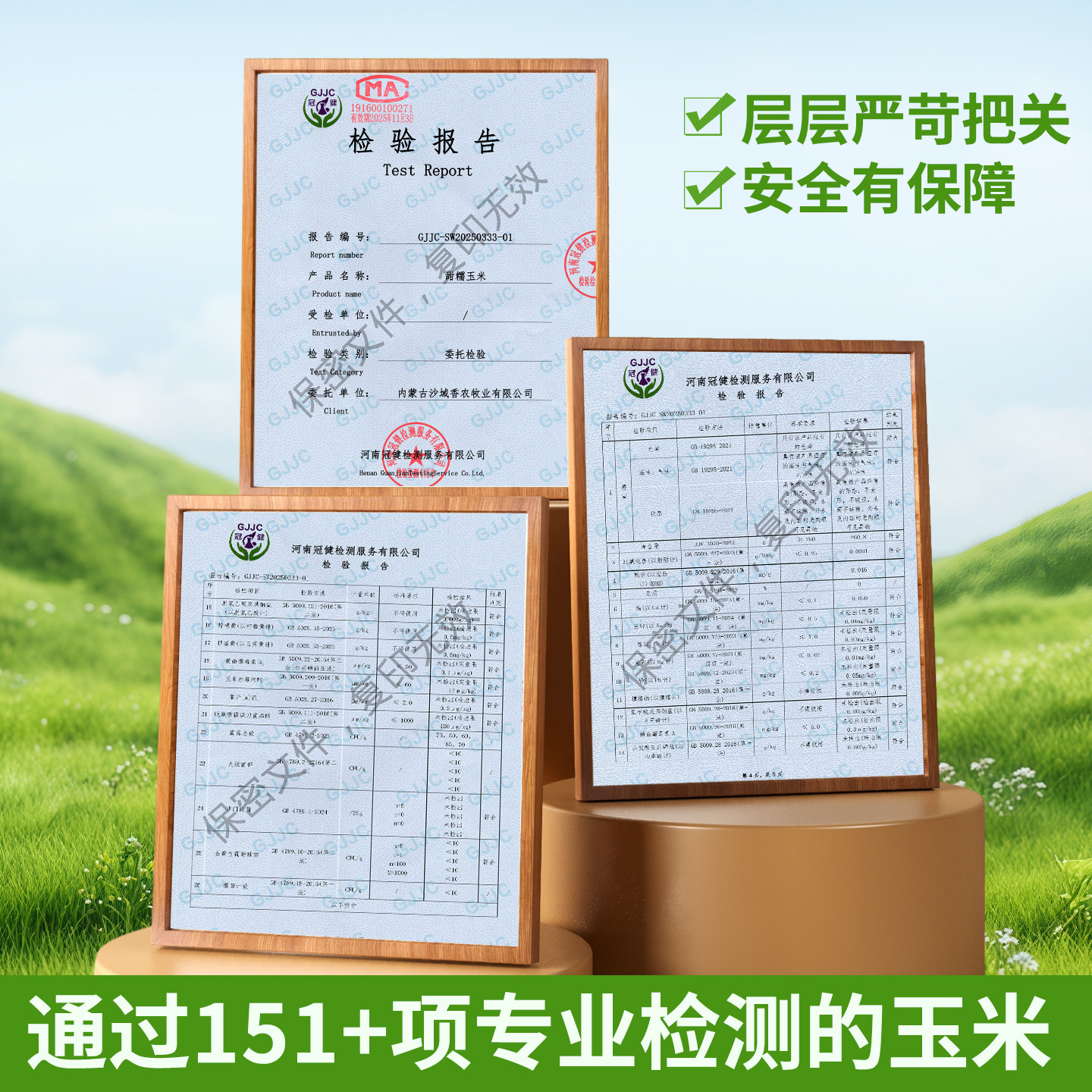 沙域香25年非转基因甜糯玉米沙漠玉米内蒙古特产玉米速冻冷鲜玉米