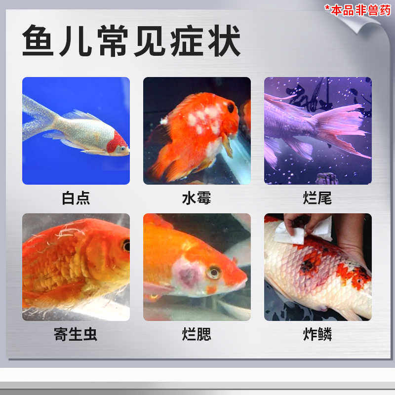 沃韦朗亚甲基蓝水族鱼专用鱼缸消毒杀菌观赏鱼锦鲤白点水霉非药品,淘宝优惠券,粉丝福利购,淘宝优惠卷
