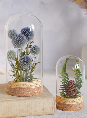 复古植物标本f摆件向日葵玻璃罩微景观创意生日礼物书架装饰送老