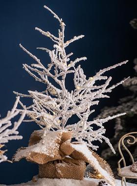 掬涵小型雪松圣诞树桌面摆件橱窗道具咖啡馆节日气氛布置装饰道具